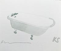 © Kate Schelter LLC 2024 | Clawfoot Bath Tub ~8x6 by Kate Schelter
