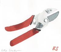 © Kate Schelter LLC 2023 | Gardening Shears Red handle by Kate Schelter