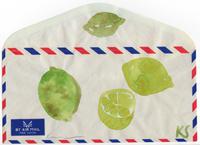 © Kate Schelter LLC 2024 | Limes air mail envelope by Kate Schelter
