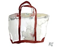 © Kate Schelter LLC 2023 | LL BEAN RED BOAT AND TOTE by Kate Schelter