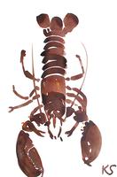 © Kate Schelter LLC 2024 | Maine Live Lobster GSHI by Kate Schelter