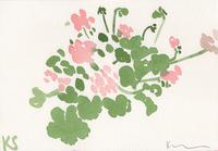 © Kate Schelter LLC 2023 | Pink geranium by Kate Schelter