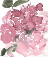 © Kate Schelter LLC 2023 | Pink peonies 5 by Kate Schelter