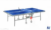 © Kate Schelter LLC 2024 | Blue Ping Pong Table by Kate Schelter