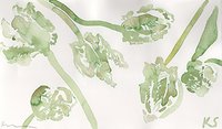 © Kate Schelter LLC 2024 | PARROT TULIPS WHITE by Kate Schelter